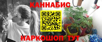 mdpv Белореченск