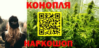 mdpv Белореченск