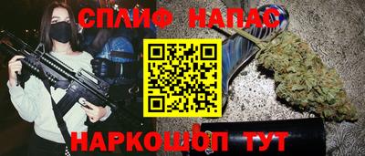 mdpv Белореченск
