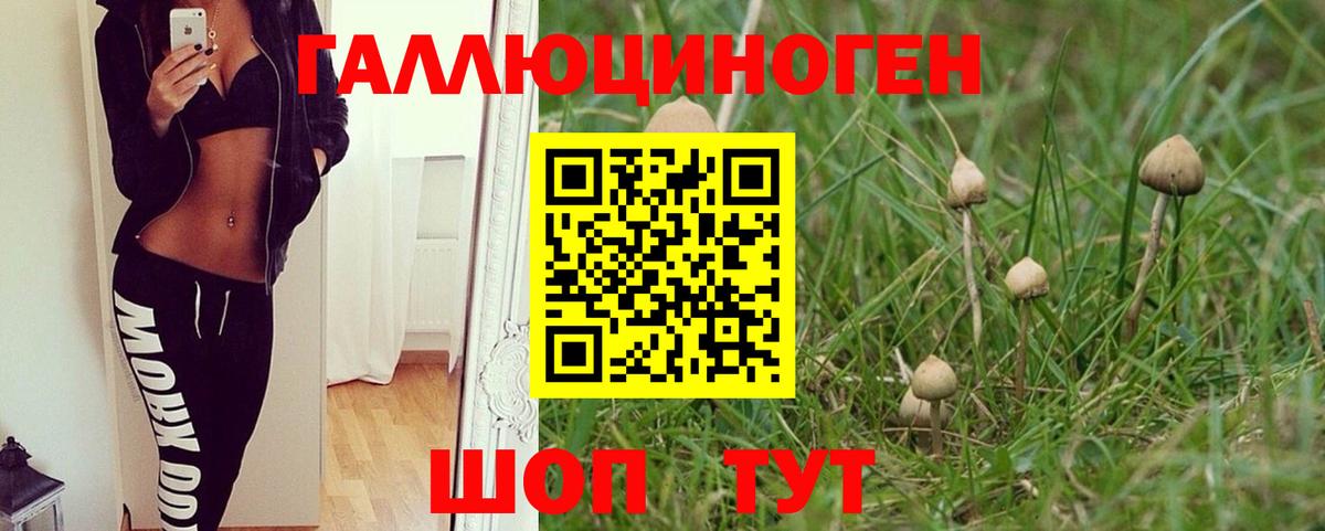 Галлюциногенные грибы GOLDEN TEACHER Видное